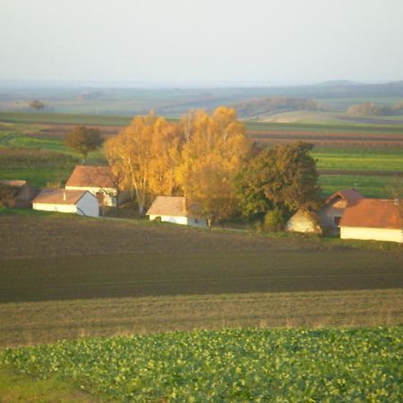Gaestezimmer Rieder Staatz Exterior foto